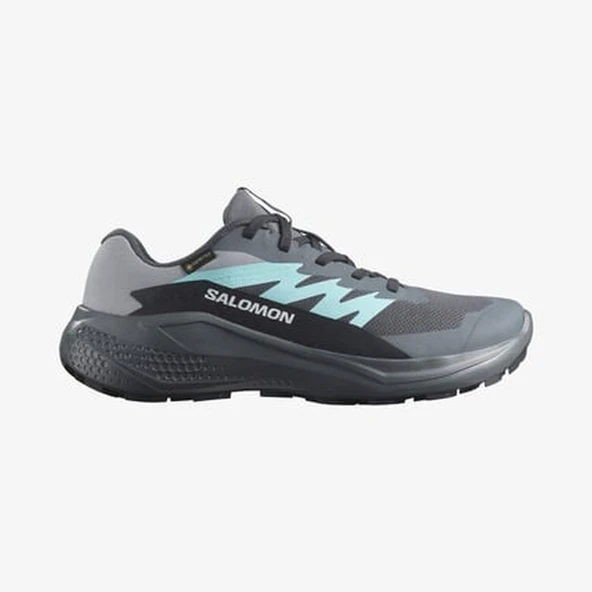 Salomon ALPHAGLIDE GORE-TEX Kadın Ayakkabısı L47802300 ürün görseli 1