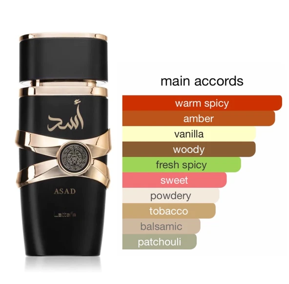 LATTAFA ASAD 100 ML EDP PARFÜM - Resim 5