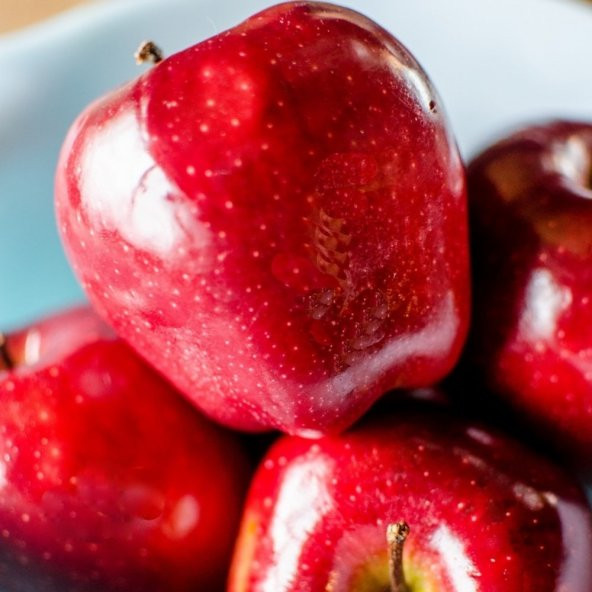 Tüplü Aşılı Tam Bodur Red Miracle Kırmızı Mucize Elma Fidanı ürün görseli 1