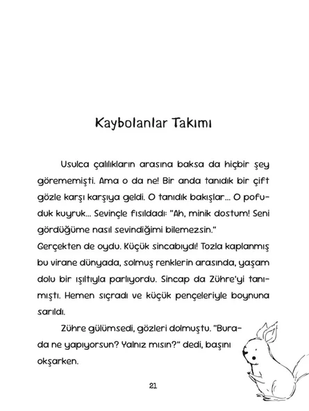 SIRLI EKOSİSTEM - Resim 2