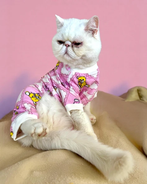 Teddy Toad Penye Kedi Tulum Pijama - Resim 2