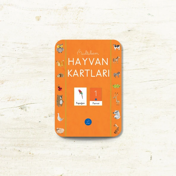 HAYVAN FLAŞ KARTLARI (60 Çeşit) ürün görseli 1