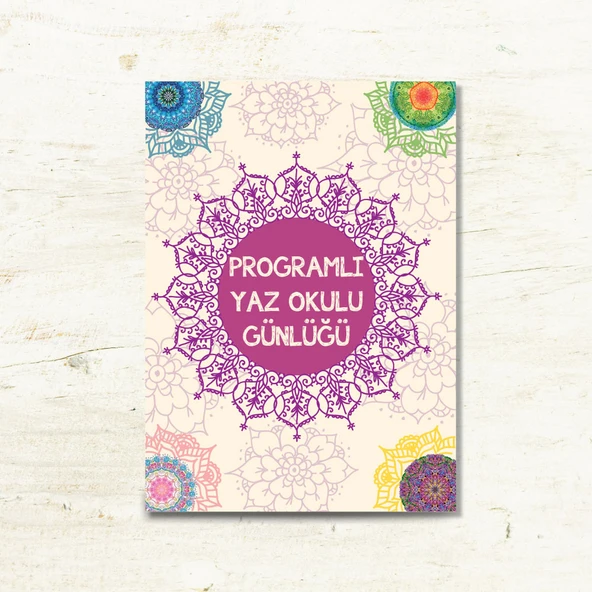 PROGRAMLI YAZ OKULU GÜNLÜĞÜ ürün görseli 1
