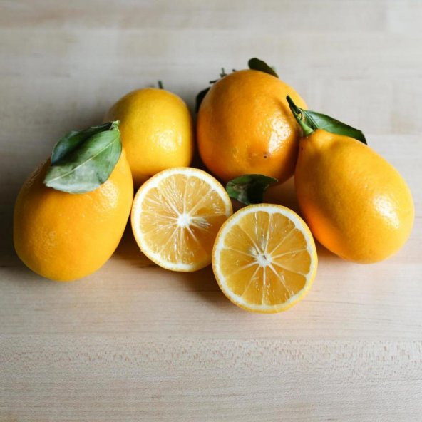 Tüplü Finike Bol Sulu Red Limon Fidanı ürün görseli 1