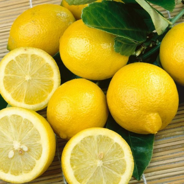 Tüplü Yoğun Kokulu Finike Beyaz Limon Fidanı ürün görseli 1