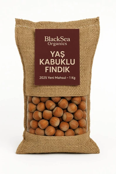 BlackSea Organics 2025 Yeni Mahsul Kabuklu Fındık 1 Kg ürün görseli 1