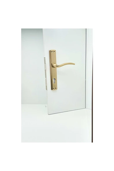 Trim Titanyum Aynalı Yale Çelik Kapı Kolu Sol Basar Tek Yön ürün görseli 1