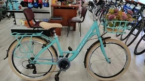 Salcano Flyer 24 Mat Trukuaz Gümüş Çocuk Şehir Bisikleti ürün görseli 1