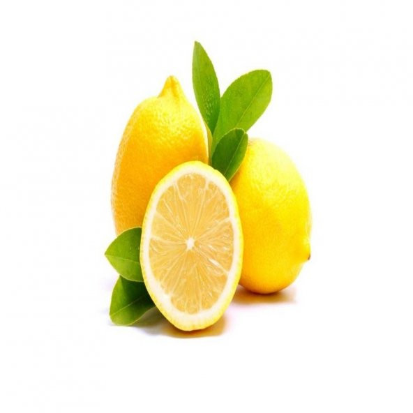 Tüplü Aşılı İnce Kabuklu Enter Limon Fidanı ürün görseli 1