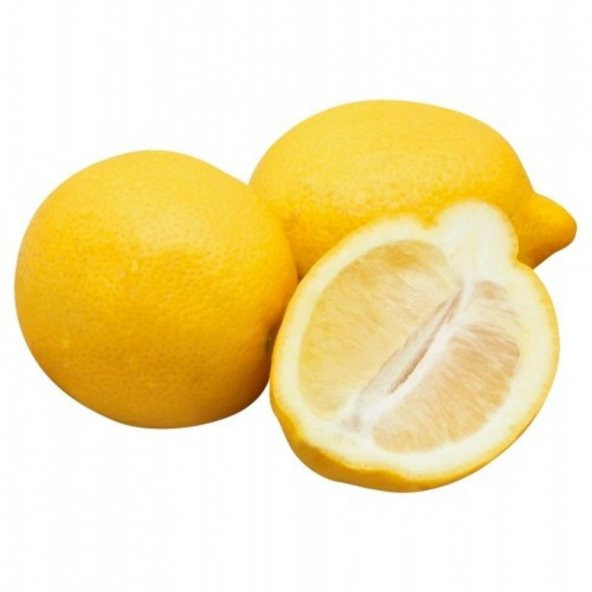 Tüplü Aşılı Şeker Gibi Şeker Limon Fidanı-Meyveli ürün görseli 1
