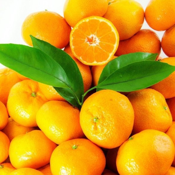 Tüplü Aşılı Yuvarlak Okitsu Mandalina Fidanı ürün görseli 1