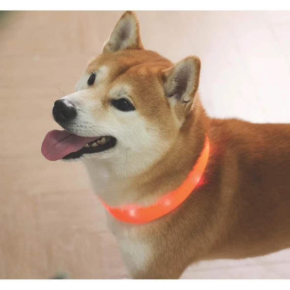 M-Pets Flash Led Boyun Tasma Turuncu (L) - Resim 4