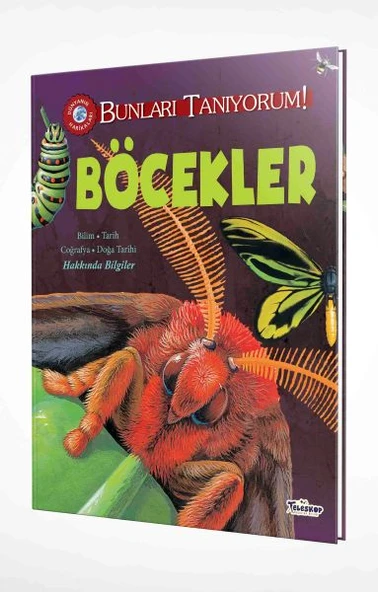 Bunları Tanıyorum! - Böcekler ürün görseli 1