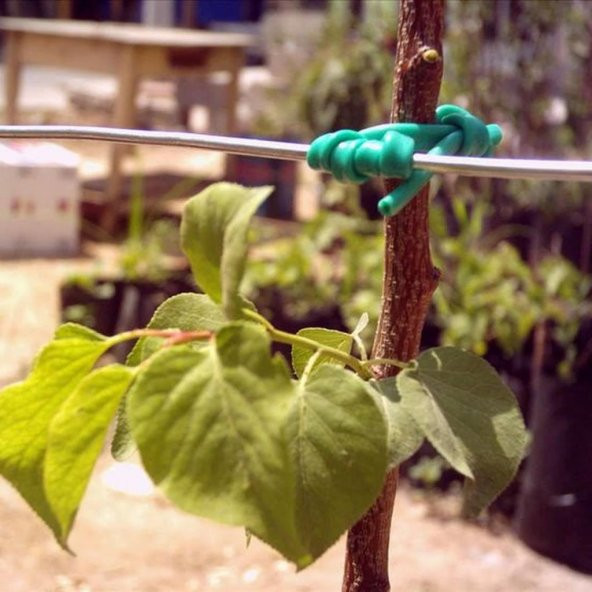 Plastik Özel Üretim Fidan Bağlama İpi (10 fidan İçin) ürün görseli 1