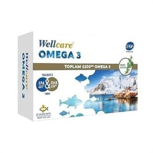 Wellcare Omega 3 Balık Yağı 1200 mg 30 Kapsül ürün görseli 1