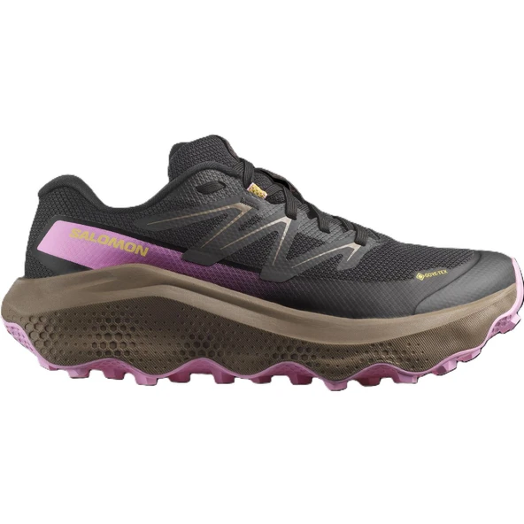 Salomon ULTRA FLOW 2 GTX Kadın Ayakkabısı L47884400 ürün görseli 1