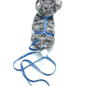 Kedi Patili Göğüs Tasması Ve Gezdirme Seti Ps9646 ürün görseli 1