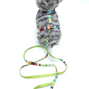 Kedi Renkli Göğüs Tasması Ve Gezdirme Seti Ps9637 ürün görseli 1