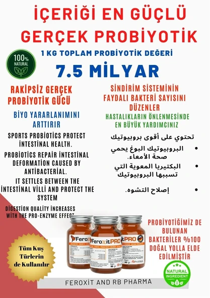 FEROXİT PROBİYOTİK Kafes Kuşları Ve Kanatlılar İçin İçeriği En İyi Kuş Probiyotik 80 GR ürün görseli 1