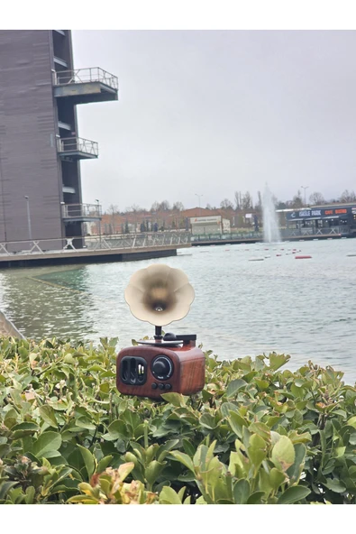 İB GLOBAL Gramafon Müzik Kutusu - Anneler Günü Hediyesi -Sevgililer Günü Hediyesi ürün görseli 1