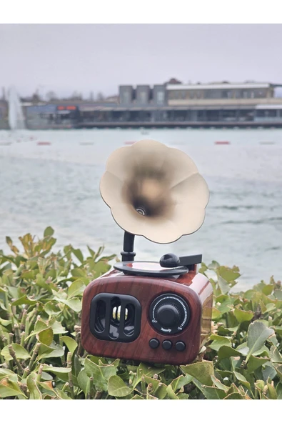 İB GLOBAL Gramafon Müzik Kutusu Anneler Günü - Öğretmenler - Sevgililer Günü Hediyesi ürün görseli 1