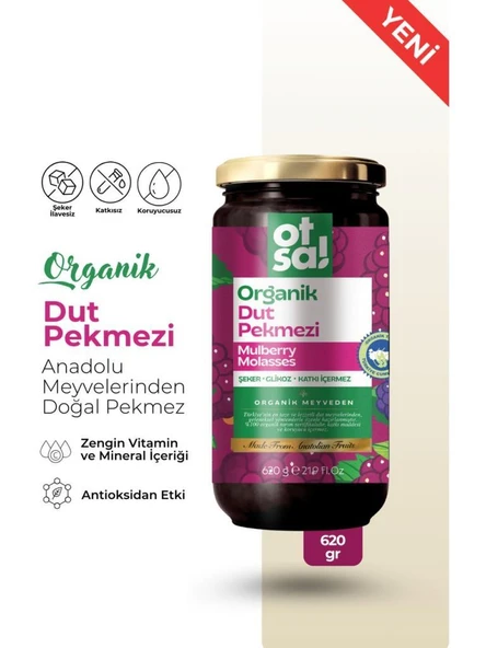 Otsa Organik Dut Pekmezi 620 g ürün görseli 1
