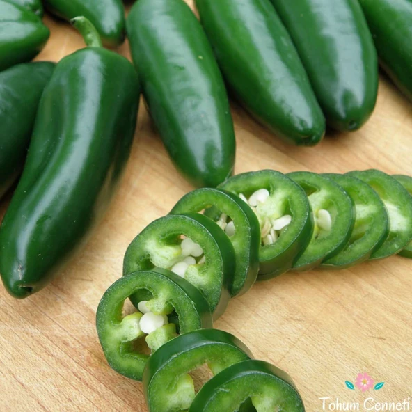 YAYLA TARIM 300 adet biber tohumu jalapeno 100 de 100 çimlenme garantili..... ürün görseli 1