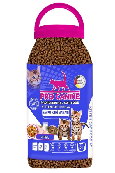 Professional Gurme Kitten Kedi Maması 5 Lt ürün görseli 1