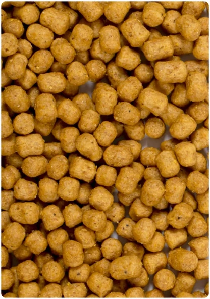 PİSTTACUS PARROT MAINTENANCE 3kg - Resim 3