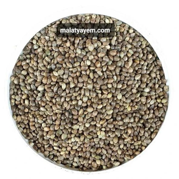 Kendir - Kuş Yemi 2 KG ürün görseli 1