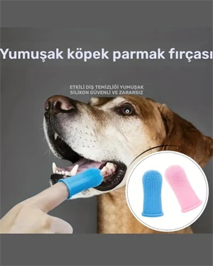 1 Adet - Süper Yumuşak Köpek ve Kedi Parmak Diş Fırçası | Yavru Köpekler ve Küçük Evcil Hayvanlar İçin Nazik Diş Temizleme Aracı | Stoktaki Uygun Renge Göre Gönderilecektir ürün görseli 1