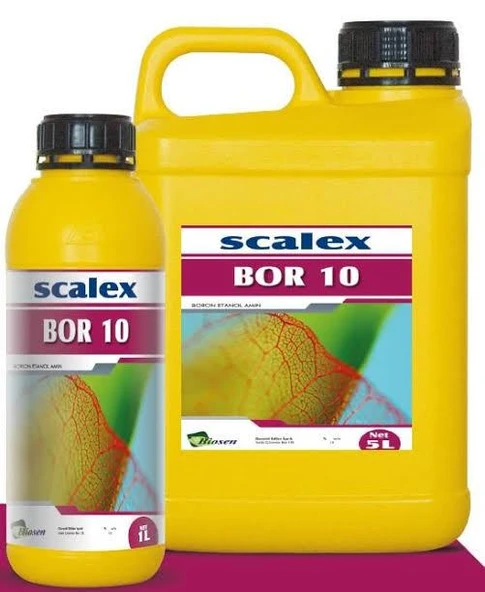 SCALEX BOR 10   1 LT ürün görseli 1