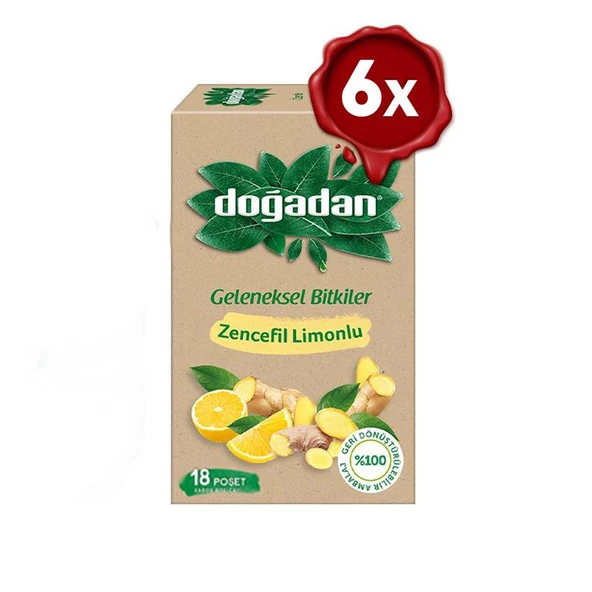 Doğadan Zencefil Limonlu Bitki Çayı x 6 Adet ürün görseli 1