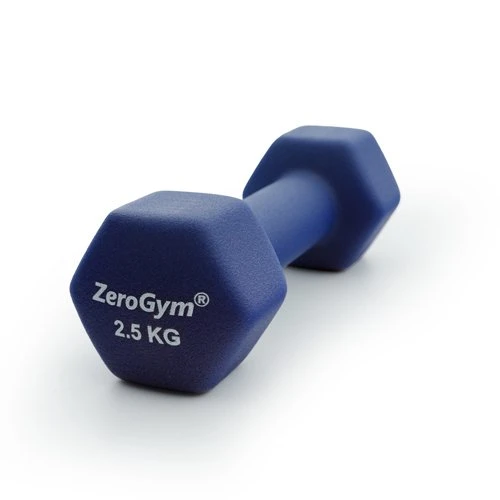 Zerogym Neopren Kaplı  İçi Demir Dambıl 2,5 kg Mavi 1 Adet ürün görseli 1