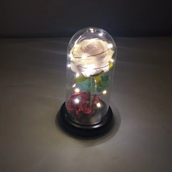 Romantik Sevgililer Temalı Işıklı Gül Fanus - Resim 2
