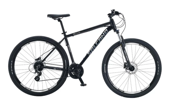 Salcano NG TEAM 200 29 Jant  Hidrolik Disk Fren 24 vites 19'' Siyah Gümüş Dağ Bisikleti ürün görseli 1