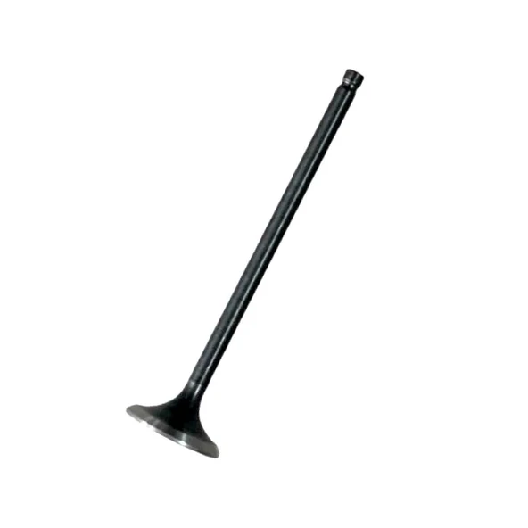 TVS Raider 125 Egzoz Subap N8011710 ürün görseli 1