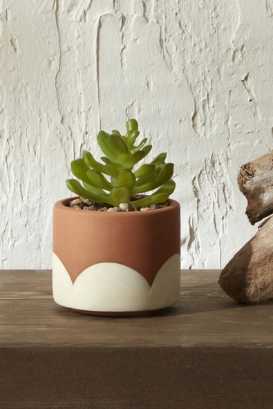 Simple Saksılı Yapay Bitki 9 Cm - Resim 3
