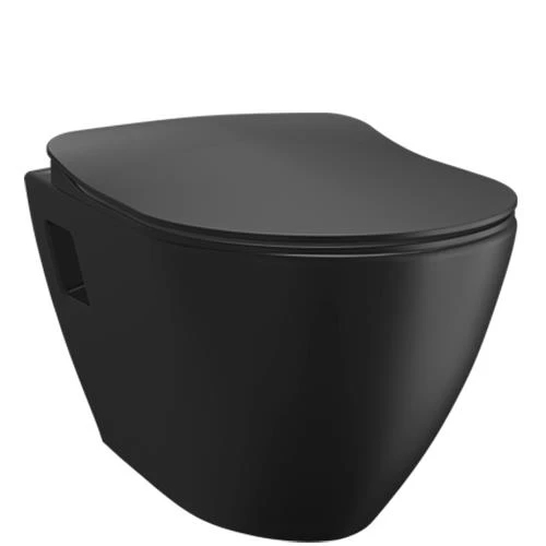 Creavit Terra Asma Klozet (Mat Siyah) TP325.40000 Kapak Hariç ürün görseli 1