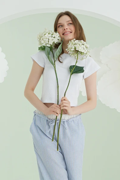Mavi Crop Pijama Takım - Resim 4