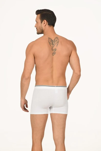 6 Adet Nbb Erkek Modal Boxer 735 - Resim 2