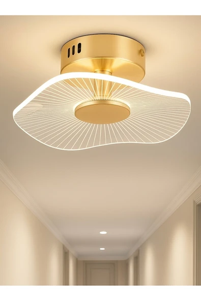 Fico Home Modern Led Avize Plafonyer Tavan Avize Hol Antre Mutfak Avizesi French Gold 19Cm Çap ürün görseli 1