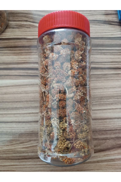 Roxin Tomurcuk darı tüm kuşlar için yem 400 ml ürün görseli 1