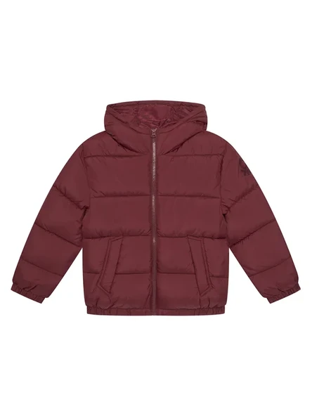 Erkek Çocuk Bordo Logo İşlemeli Kalın Mont ürün görseli 1
