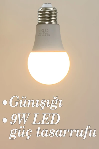Vivido Home Gün Işığı Led Ampul 9W ürün görseli 1
