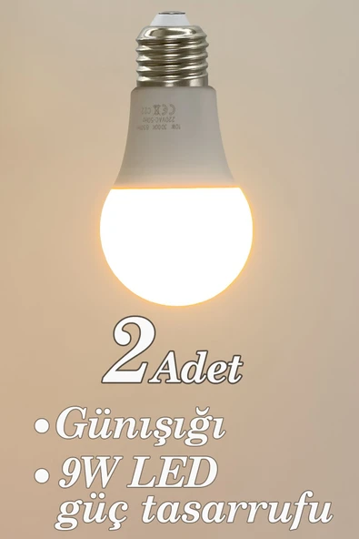 Vivido Home Gün Işığı 2 Adet Led Ampul 9w ürün görseli 1