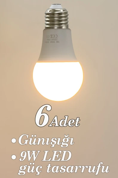 Vivido Home Gün Işığı 6 Adet Led Ampul 9w ürün görseli 1