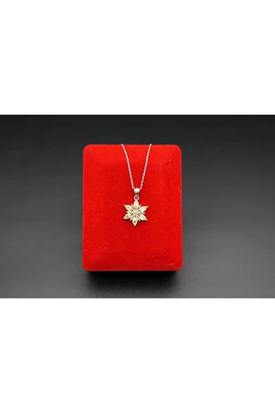 925 ayar gümüş sarı kanatlı lotu skadın kolye sk00049 ürün görseli 1