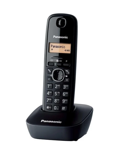 PANASONIC KX-TG 1611 DECT ürün görseli 1