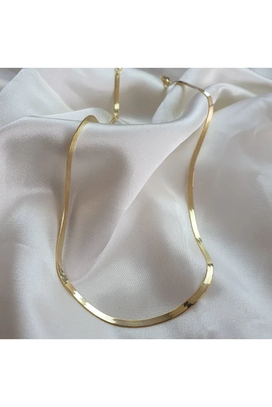 esisjewel 925 Ayar Gümüş Italyan Yassı Zincir Kolye 45 Cm ürün görseli 1